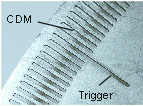 wp040c1a0d.png