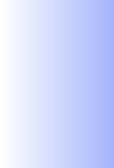 wp3e910473.png