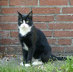wp768720d0_0f.jpg